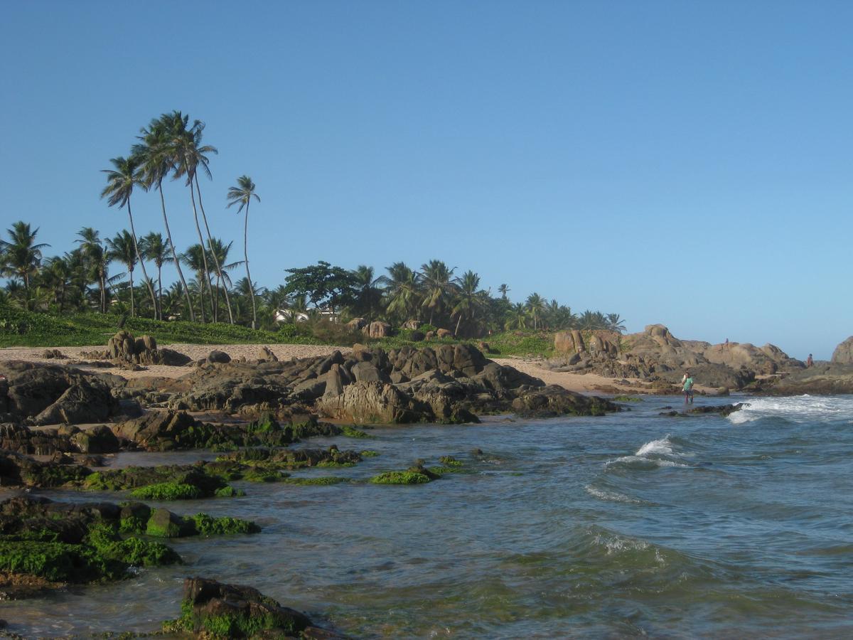 Tropicale Casa de hóspedes 2*